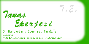 tamas eperjesi business card